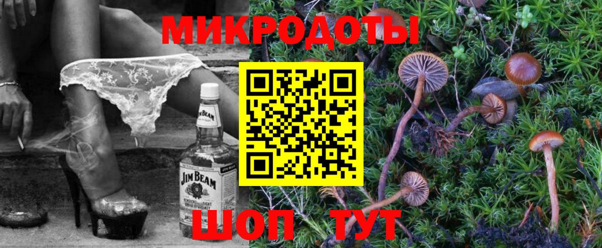 Псилоцибиновые грибы мухоморы Муром