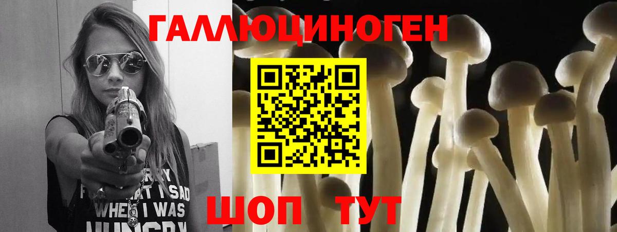 Галлюциногенные грибы Psilocybine cubensis  Вход с VPN  Муром 